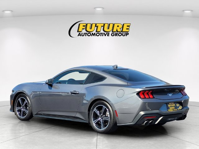 Used 2024 Gray Ford EcoBoost Premium image 7