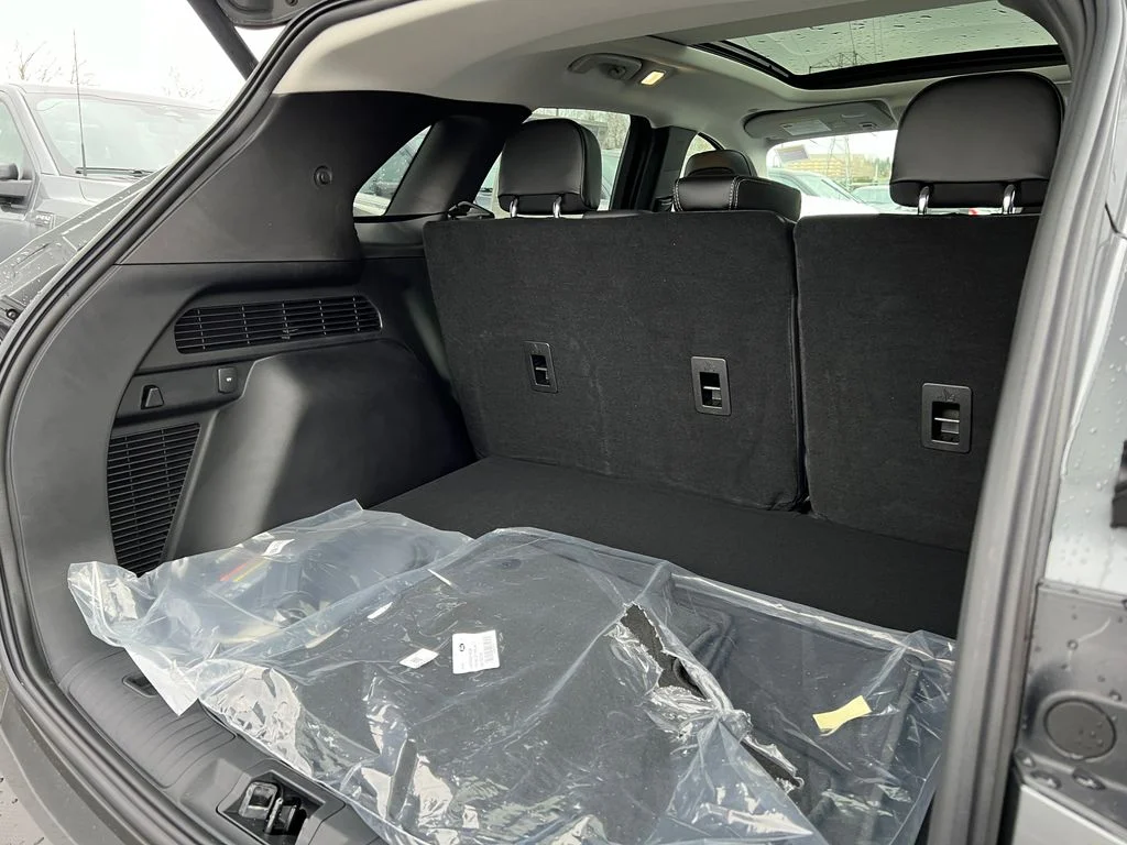New 2024 Gray Ford Base image 11