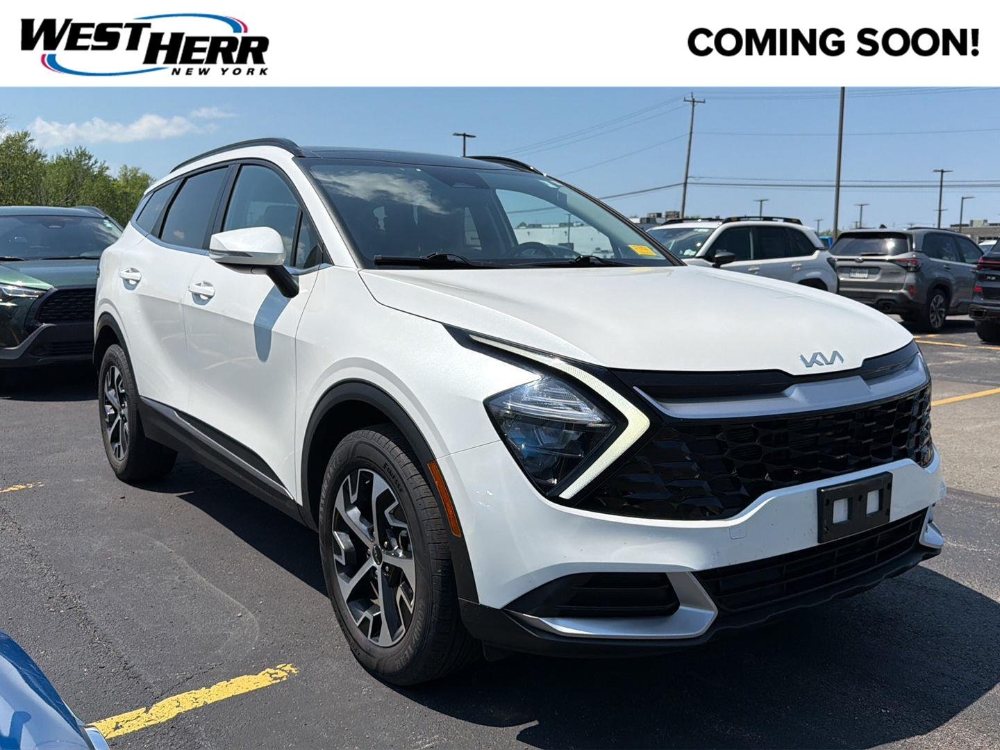 2023 Kia Sportage 1.6 EX Hybrid AT AWD's photo