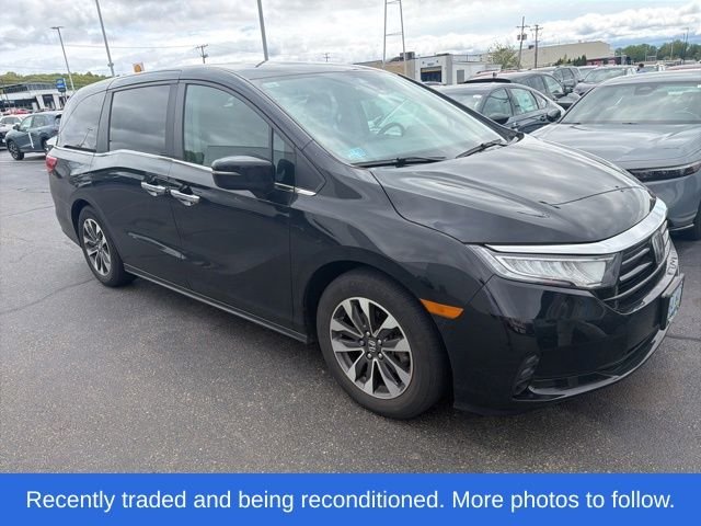 2023 Honda Odyssey EX-L's photo