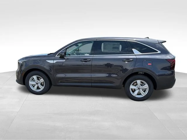 New 2026 Panthera Metal Kia LX image 4