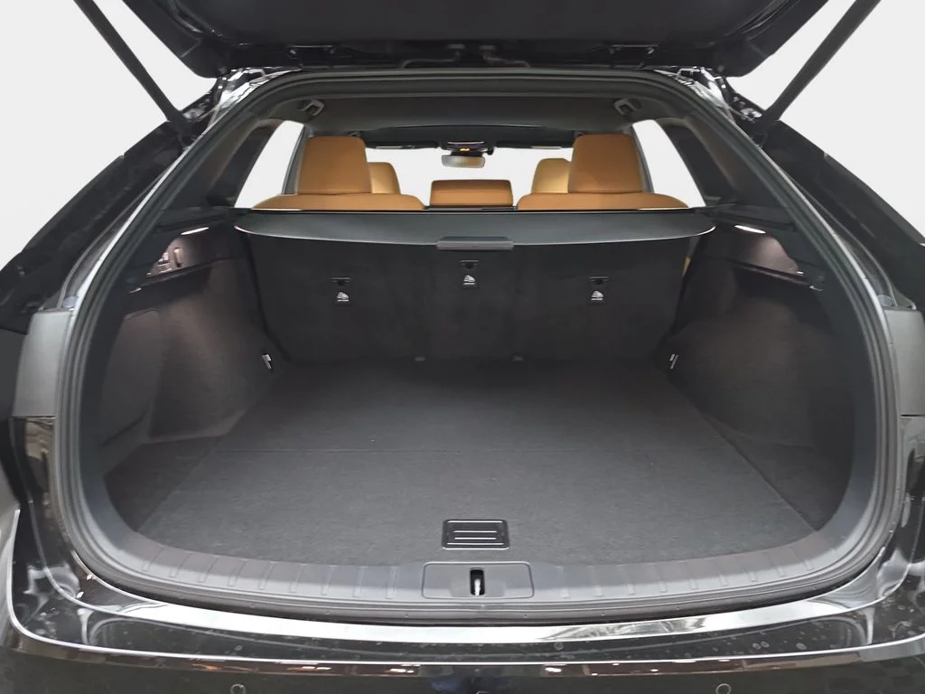 New 2026 Caviar Lexus AWD image 12