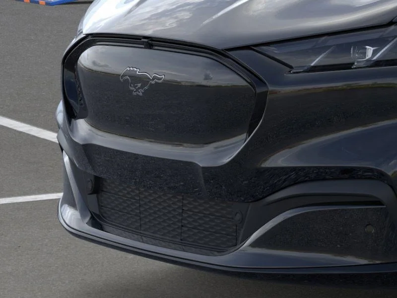 New 2026 Shadow Black Ford Premium image 17