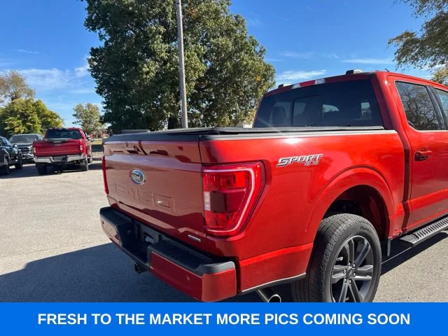 Used 2023 Red Ford XLT image 13
