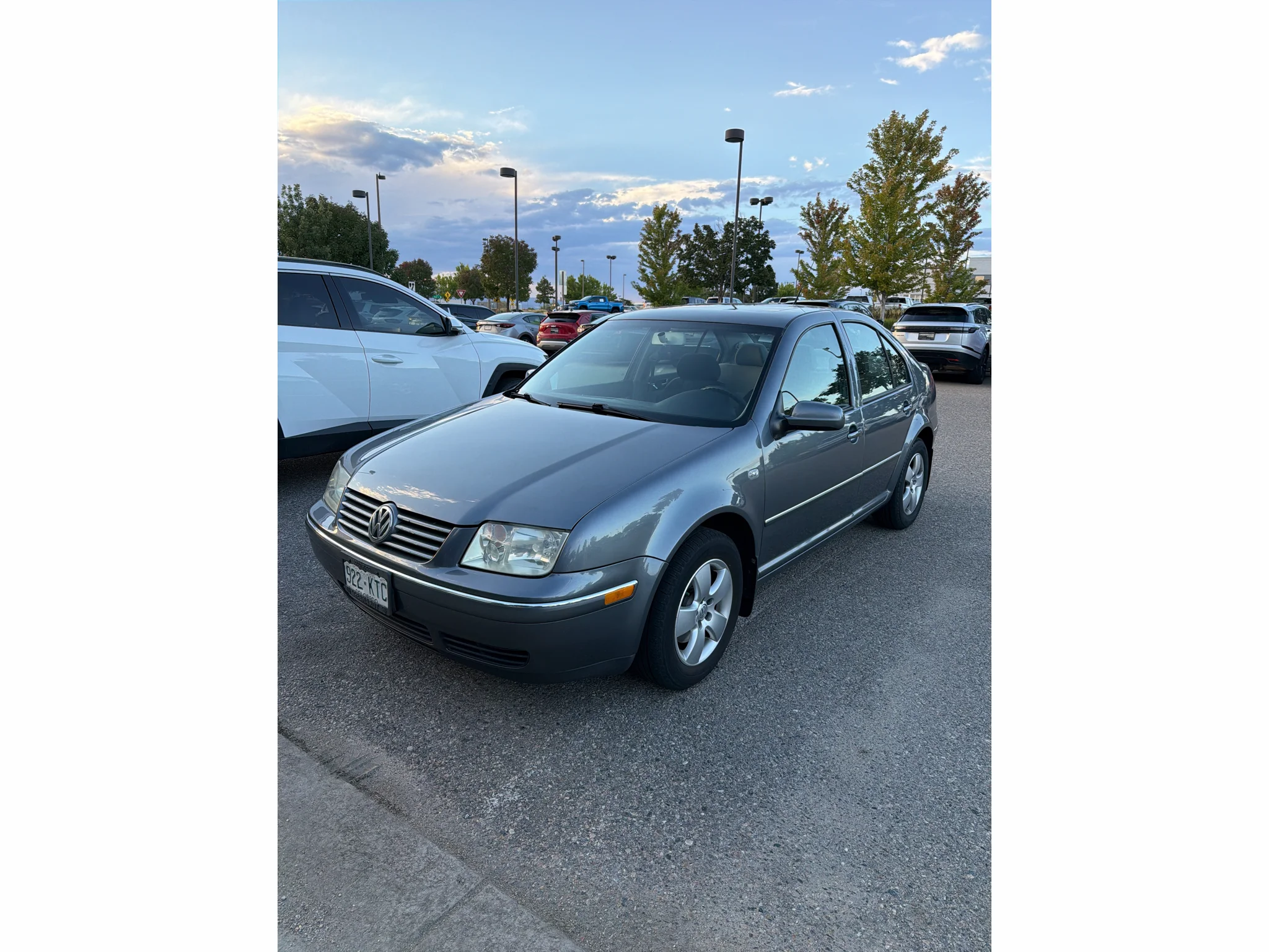 Used 2004 Brown Volkswagen GLS TDI image 2