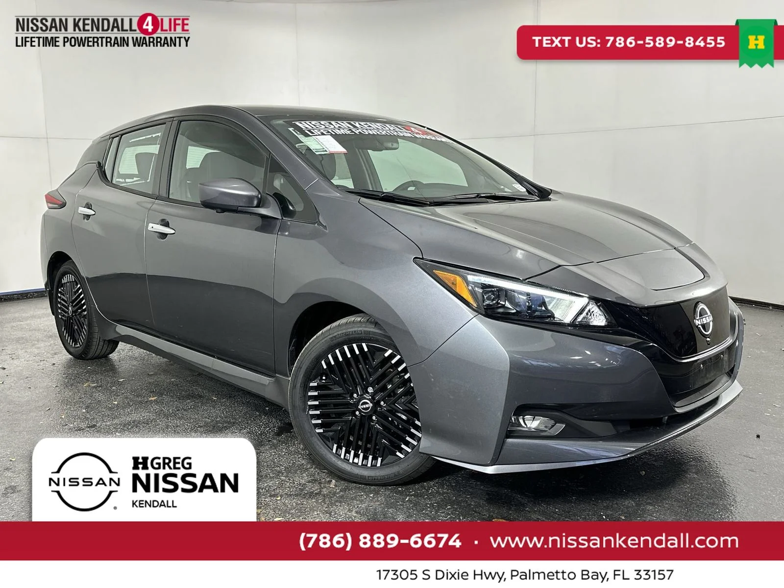 2025 Nissan Leaf SV PLUS's photo