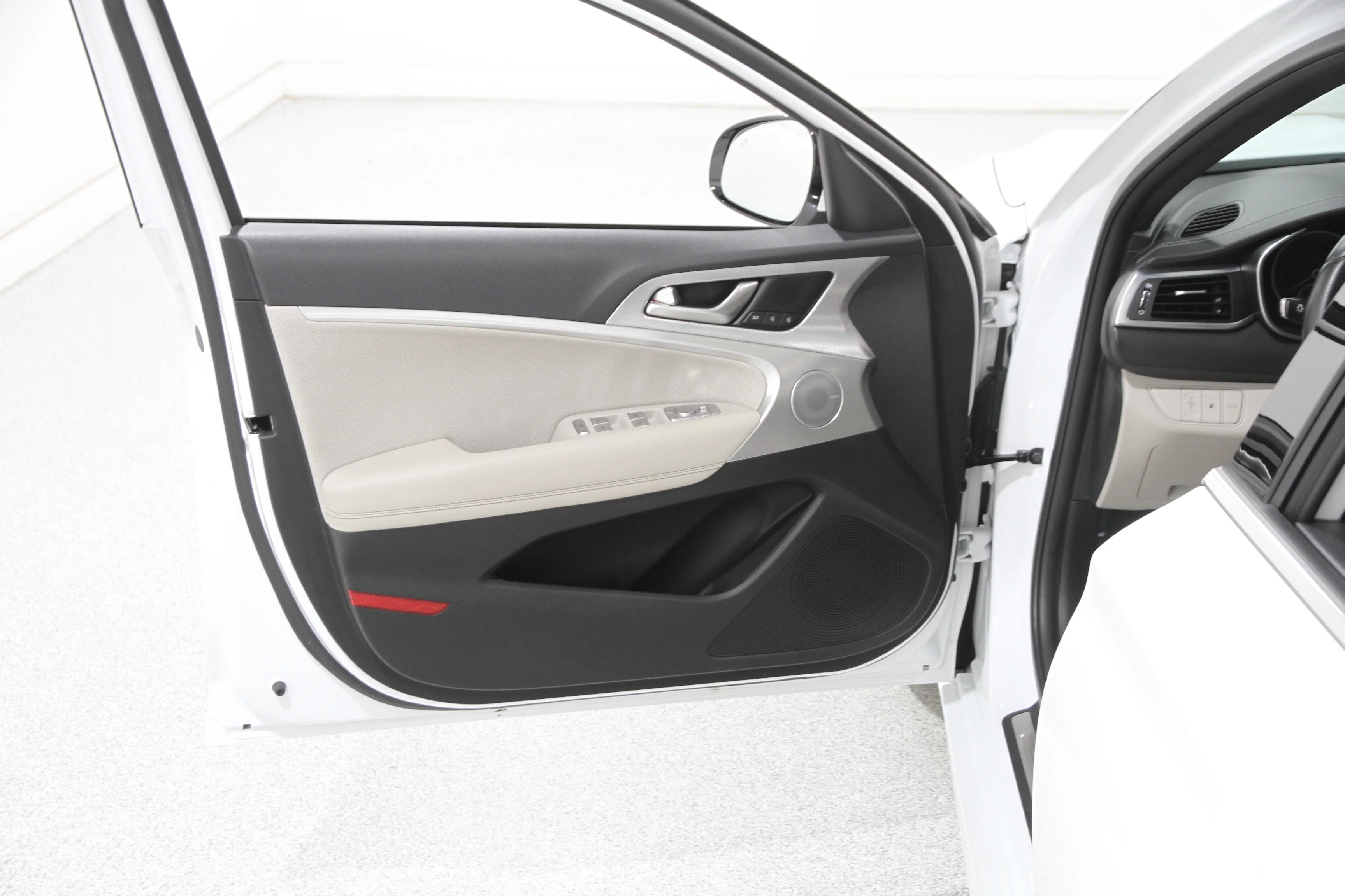 Used 2022 WHITE Genesis 2.0T image 4