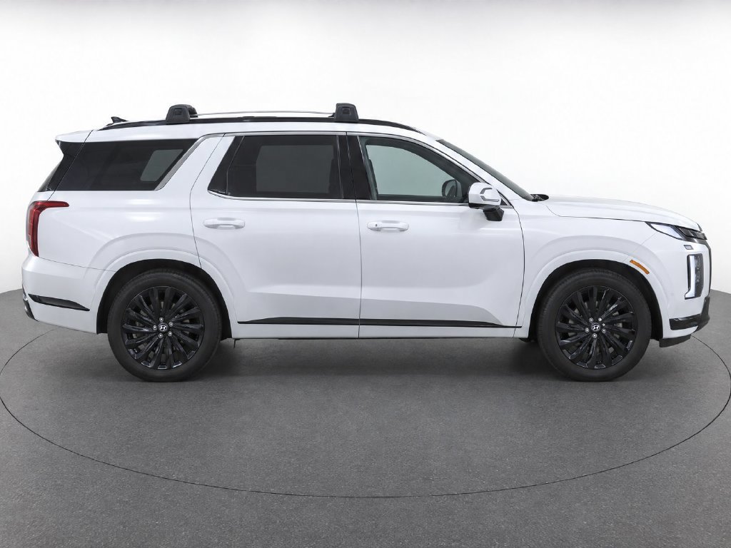 2024 Hyundai Palisade Calligraphy Night Edition - Photo 8