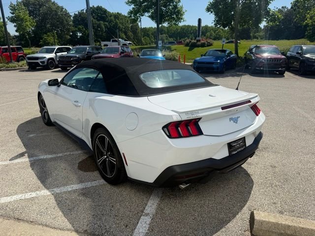 Used 2024 White Ford EcoBoost Premium image 4