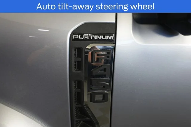 New 2024 Silver Ford Platinum image 20