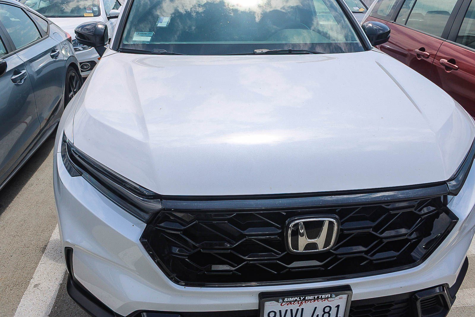 New 2026 Platinum White Pearl Honda Sport image 3