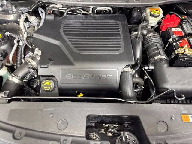 Used 2016 Brown Ford Platinum image 9