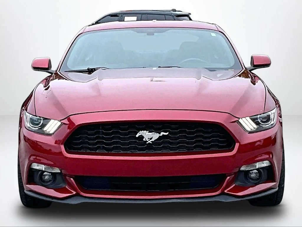 Used 2016 Red Ford V6 image 4