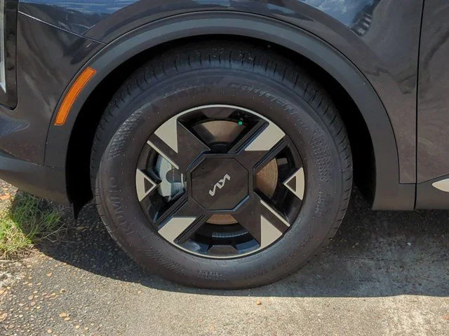 New 2026 Panthera Metal Kia LX image 11