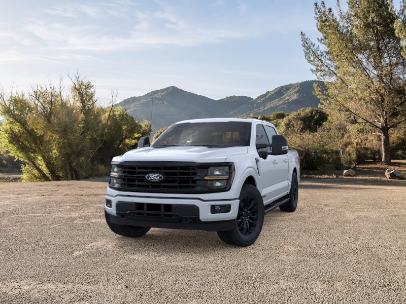 2025 Ford F-150 XLT - Photo 2