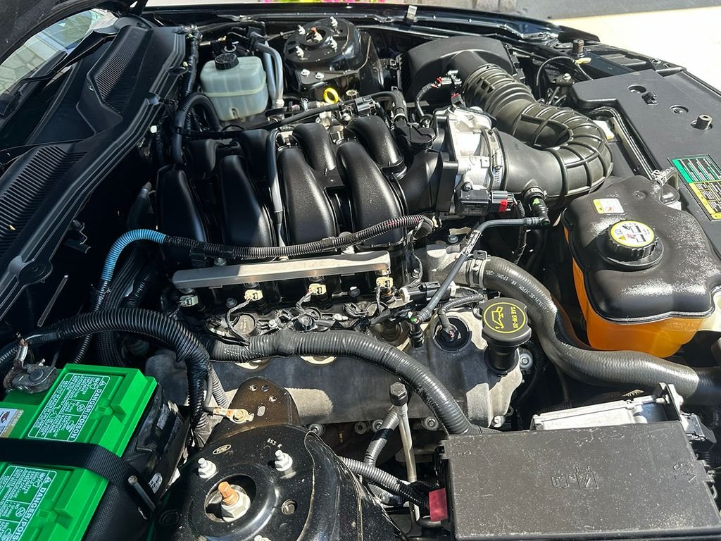 Used 2005 Black Ford  image 16