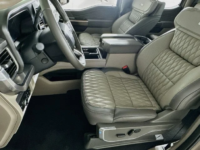 New 2026 Gray Ford Platinum image 9