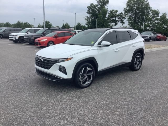 Used 2024 White Pearl Hyundai Limited image 1