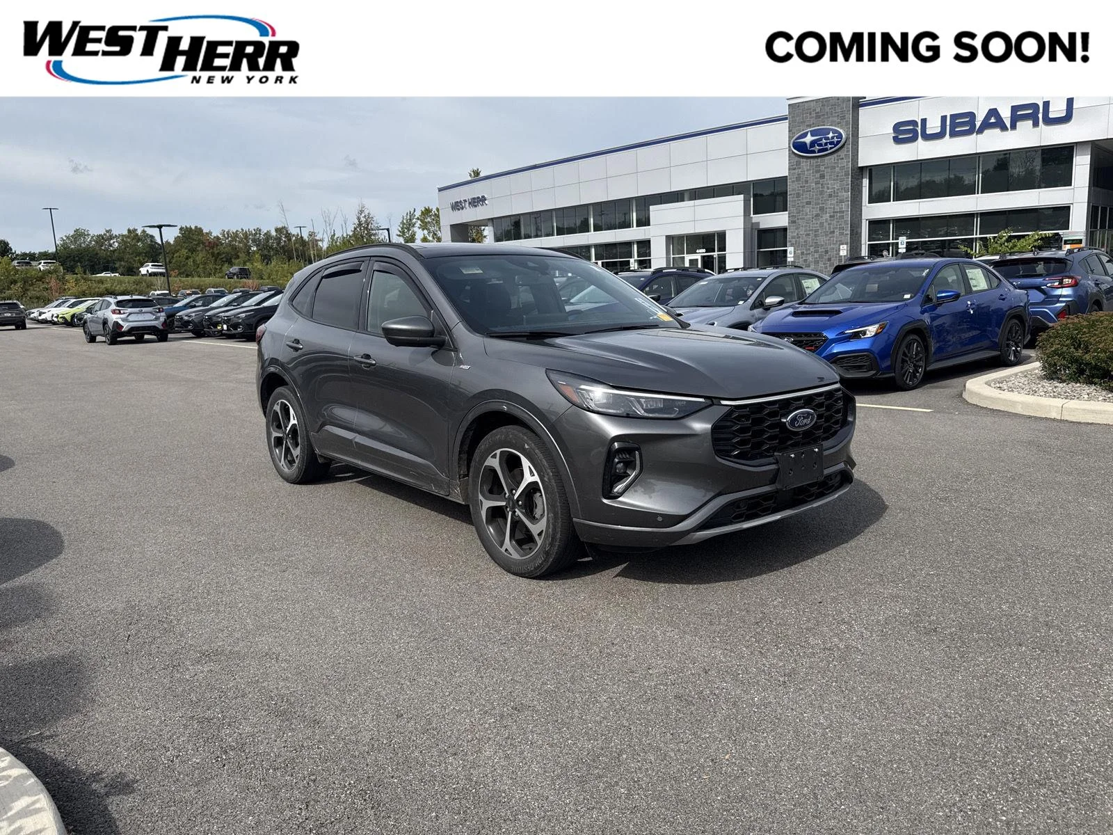 Used 2023 Carbonized Gray Ford ST-Line Elite image 1