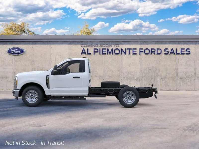 New 2025 White Ford XL image 3