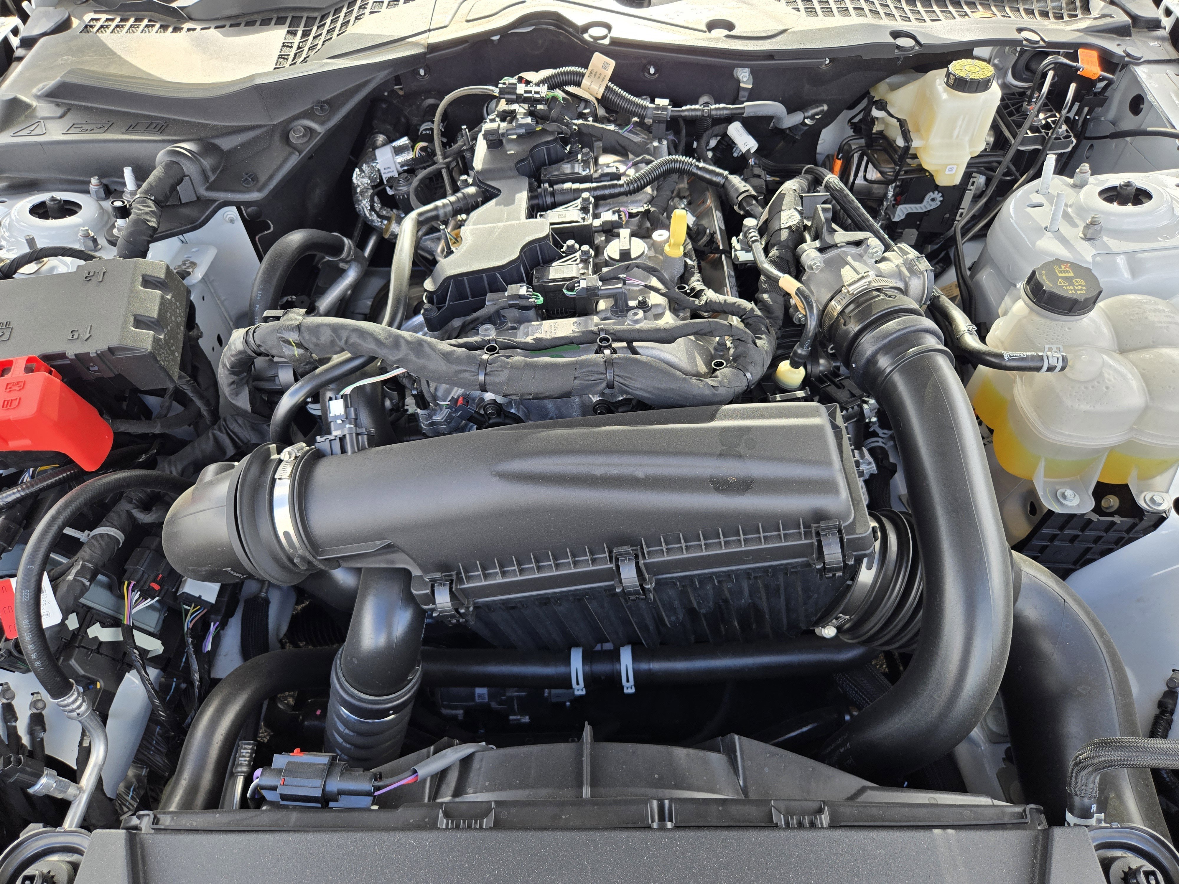 New 2026 Oxford White Ford EcoBoost Fastback image 20