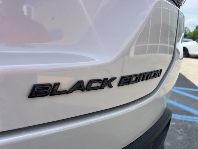 2025 Honda Pilot Black Edition - Photo 10