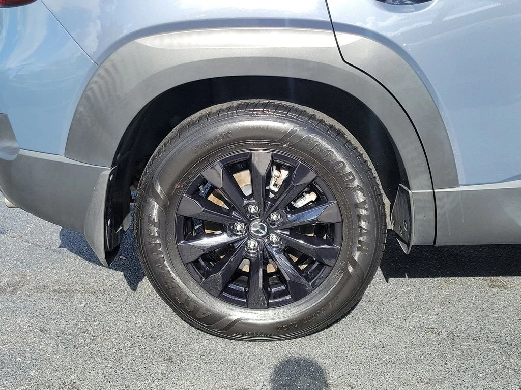 Photo 5