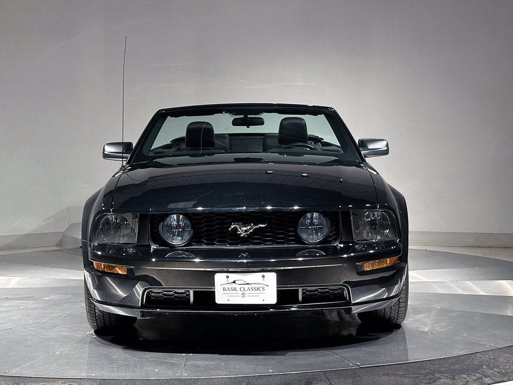 Used 2005 Black Ford  image 3