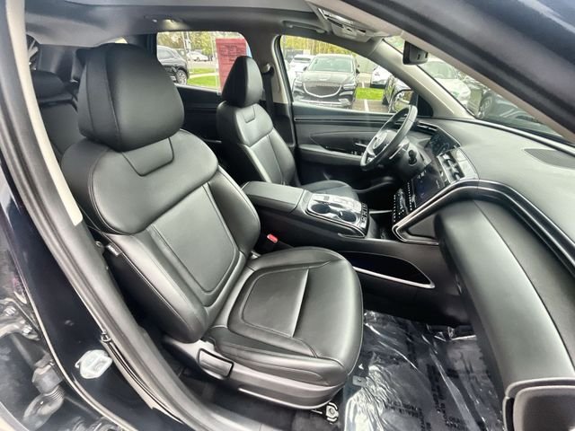 Used 2024 Blue Hyundai SEL Convenience image 24