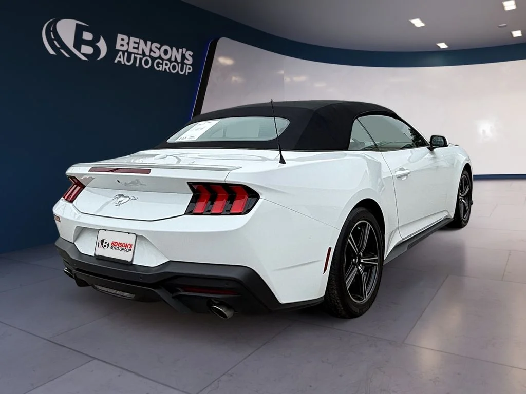 Used 2025 White Ford EcoBoost Premium image 4