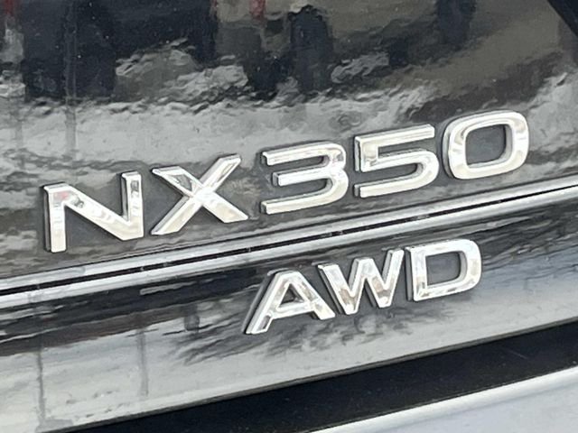 2023 Lexus NX 350 - Photo 12