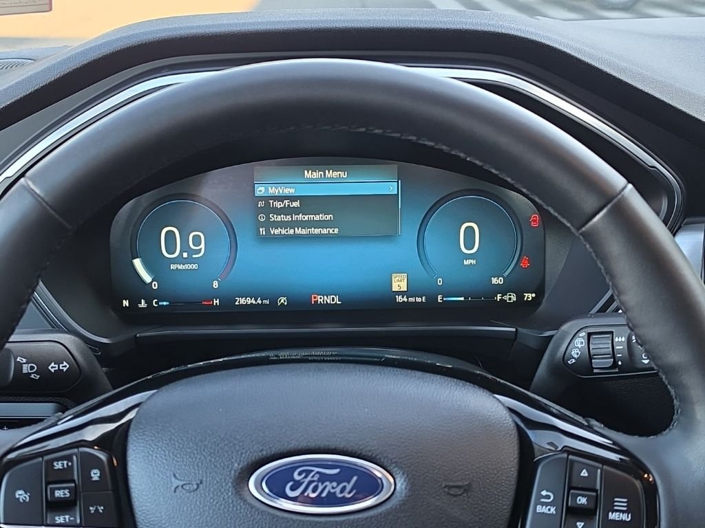 Used 2025 Silver Ford Platinum image 11
