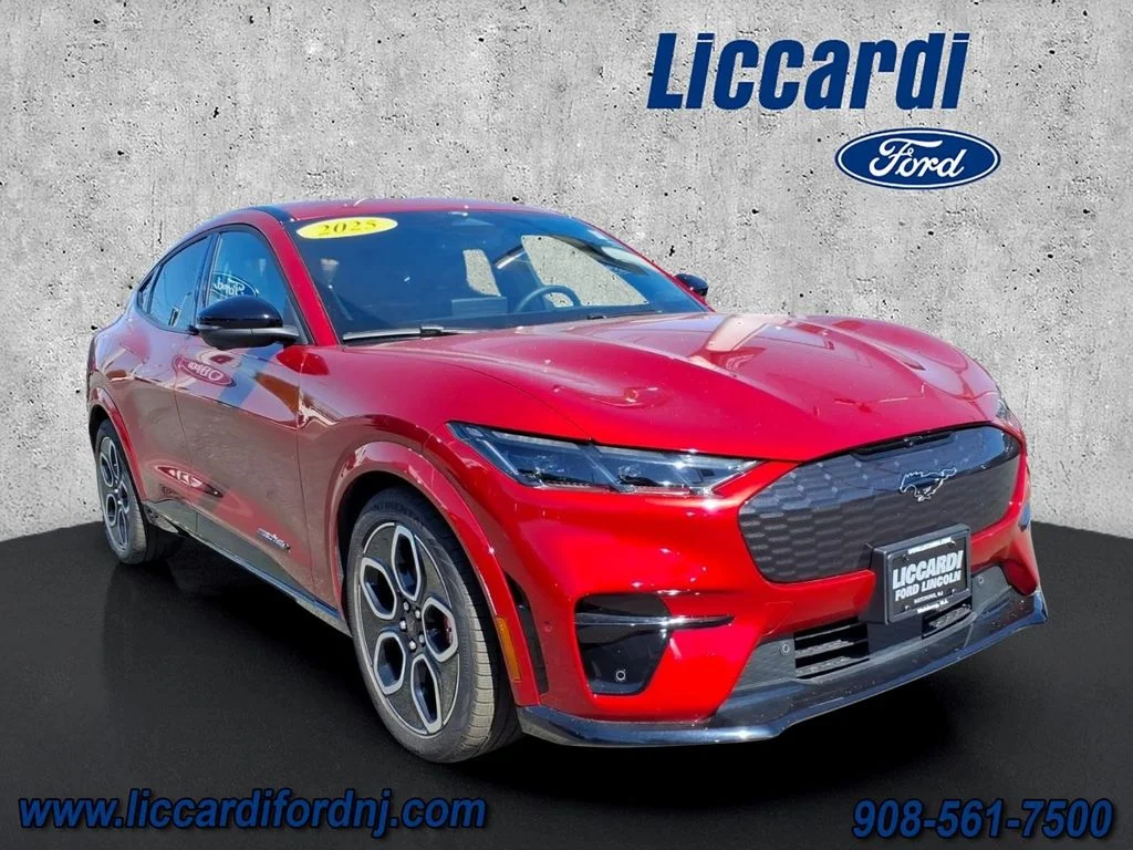 2024 Ford Mustang-Mach-e GT's photo