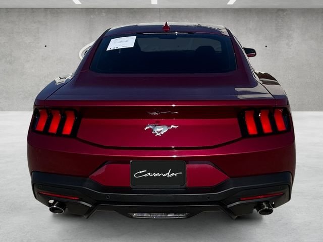 Used 2025 Red Ford EcoBoost image 15