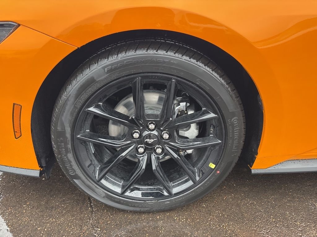 2026 Ford Mustang EcoBoost Fastback - Photo 11