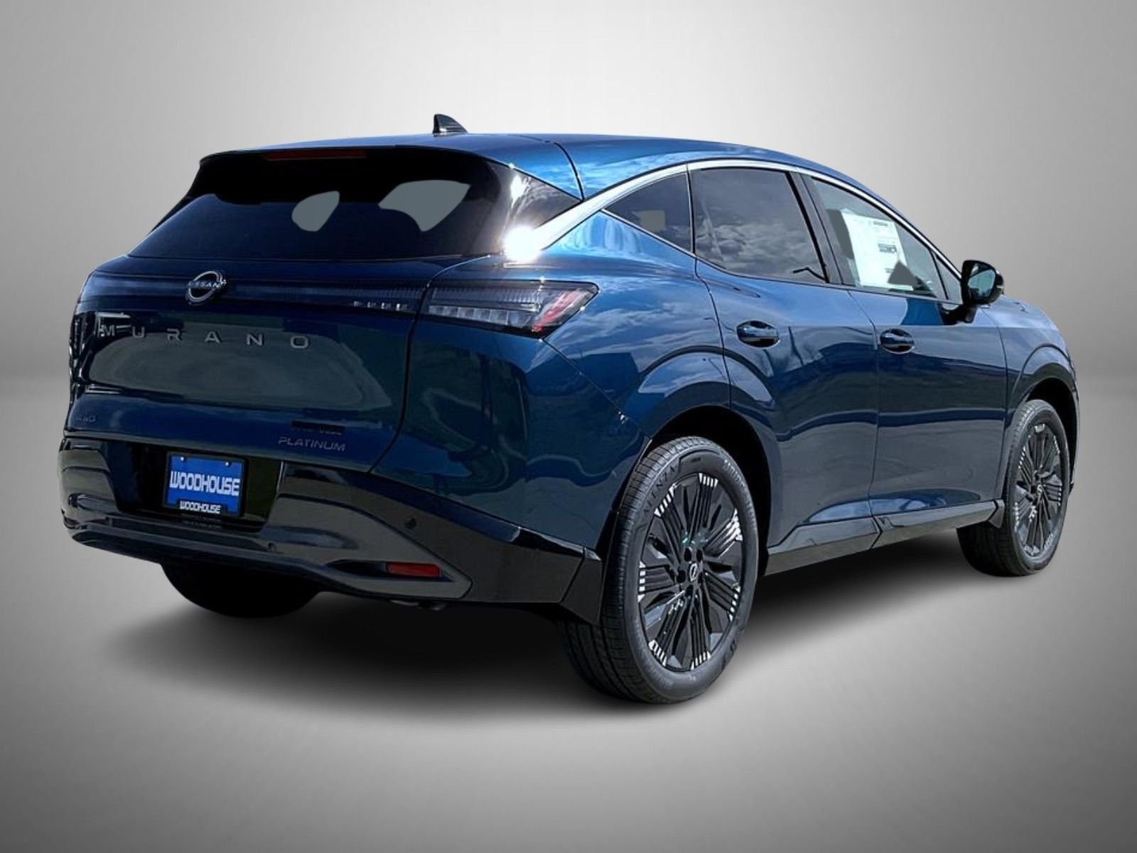 New 2026 Pearl Metallic Nissan Platinum image 5