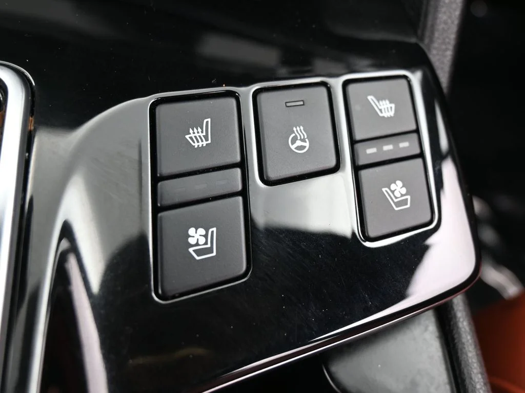 Used 2024 Ebony Black Kia SX-Prestige image 22