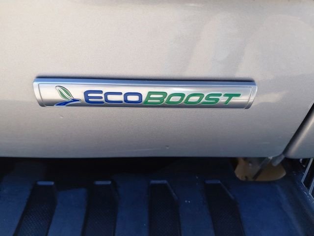 Used 2020 Silver Ford Platinum image 32