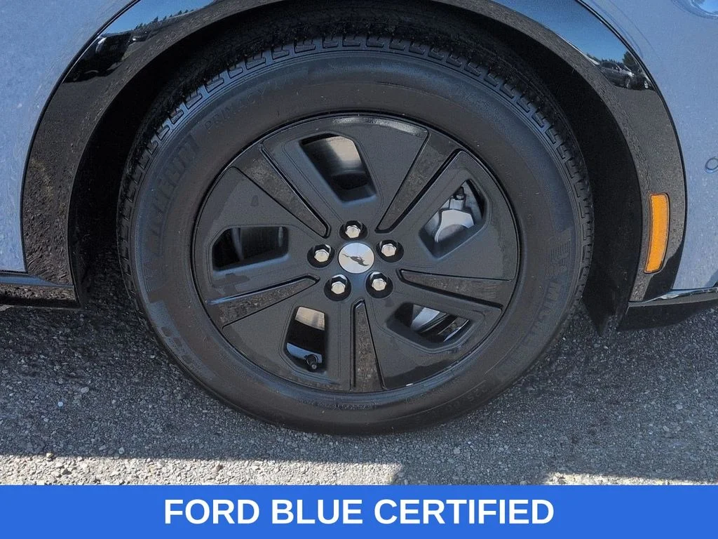 Used 2023 Vapor Blue Ford California Route 1 image 31
