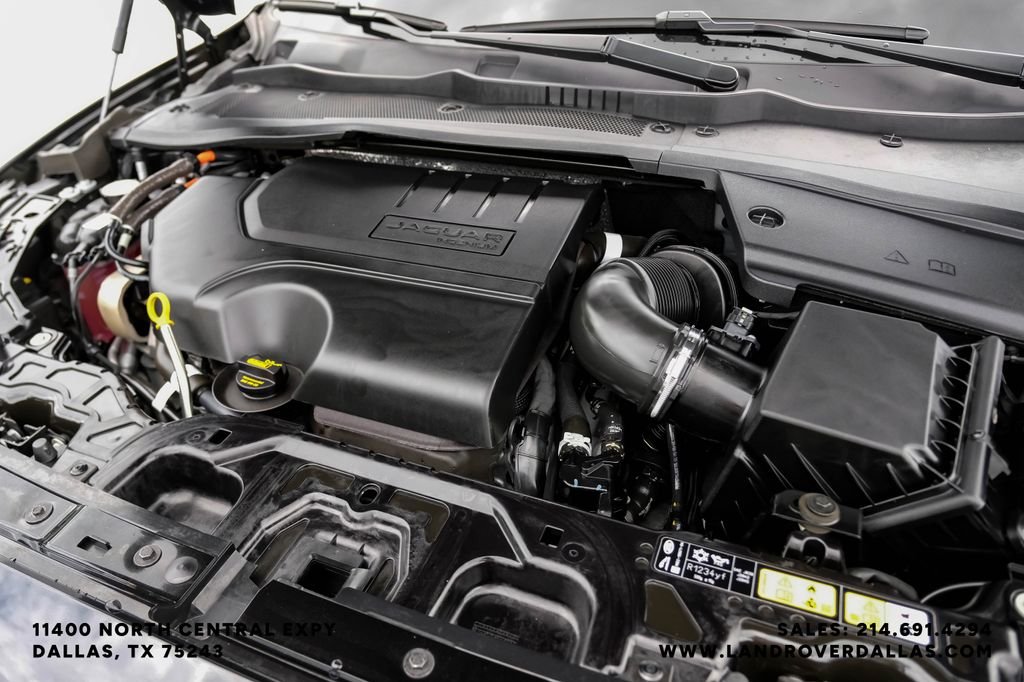 Used 2024 Black Jaguar P250 image 49