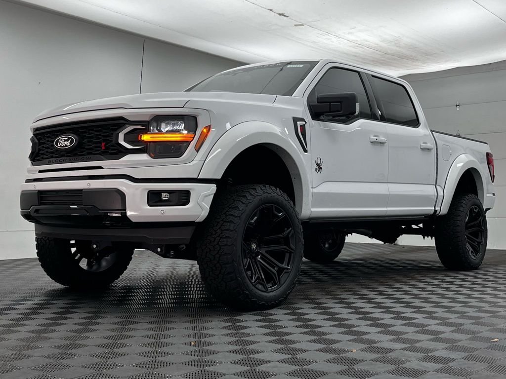 New 2025 White Ford XLT  Black Widow Lifted Truck image 2