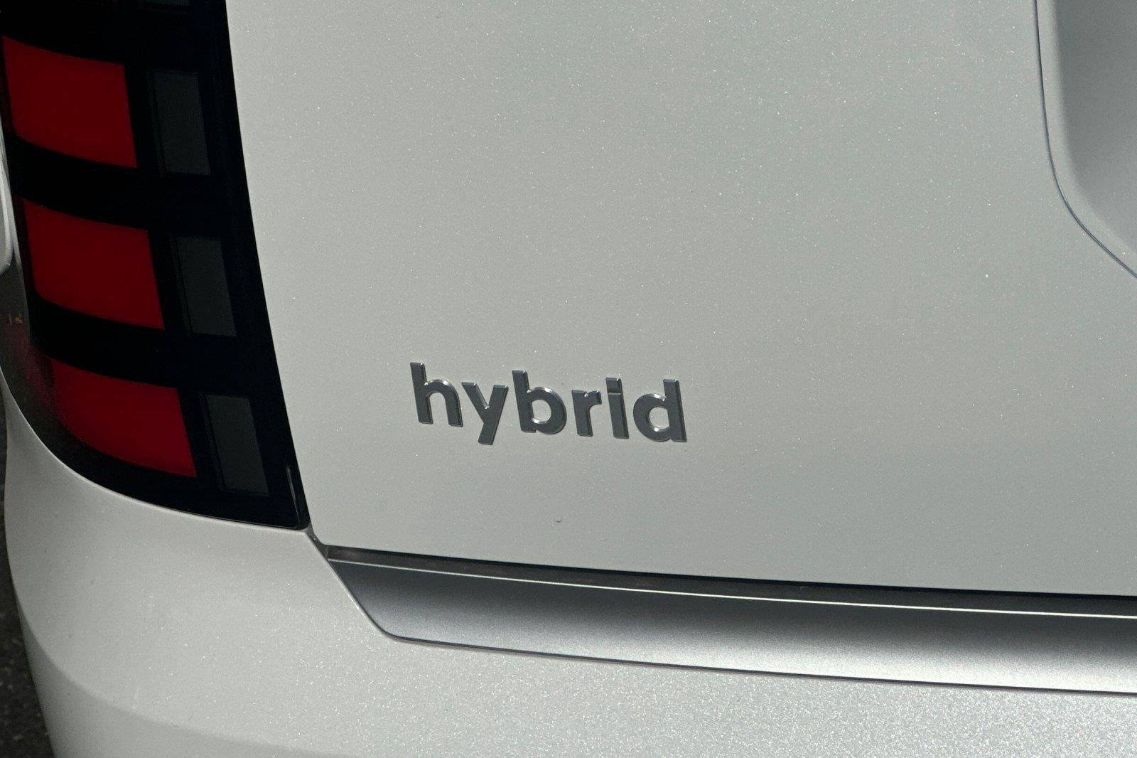 New 2027 Creamy White Pearl Hyundai Calligraphy image 27