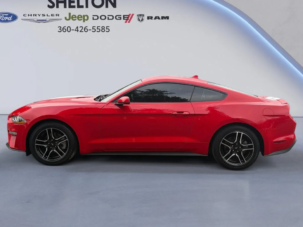 Used 2021 Race Red Ford EcoBoost Premium image 3