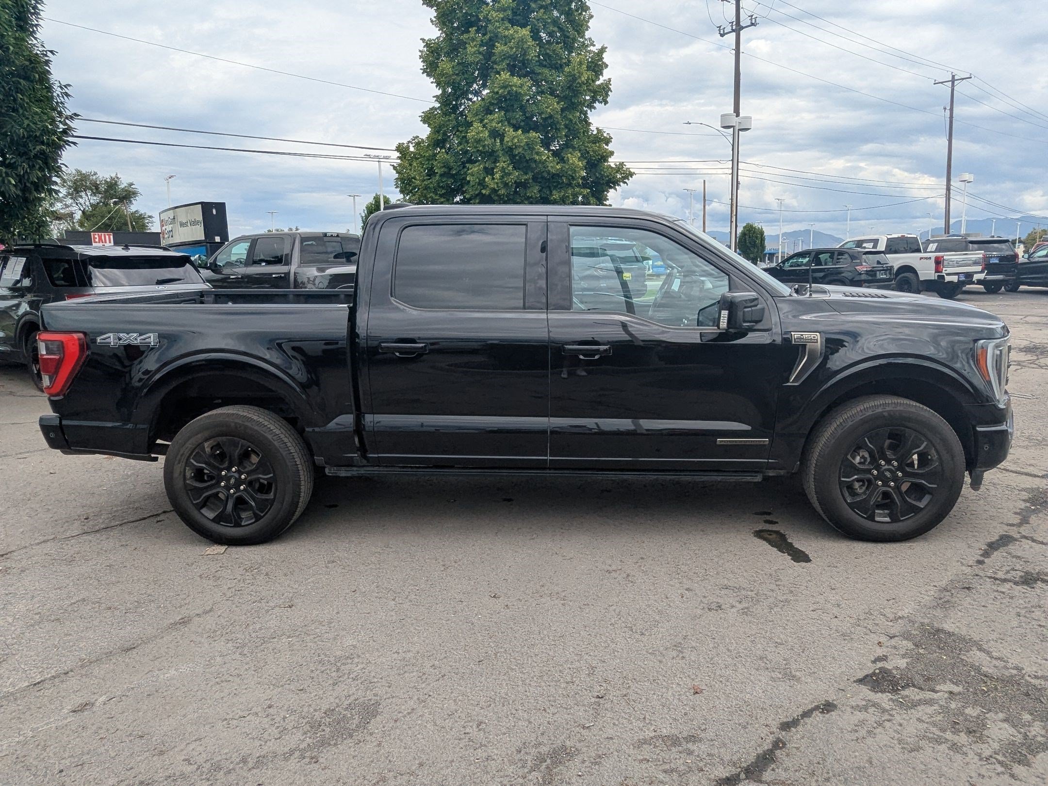 Used 2023 Blue Ford Platinum image 2