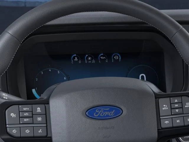 New 2026 Agate Black Metallic Ford Platinum image 13