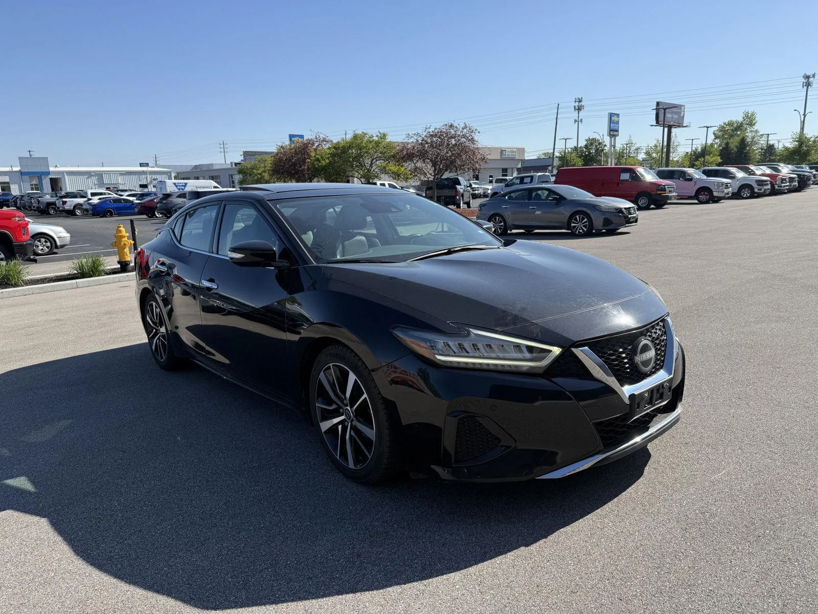 2023 Nissan Maxima SL's photo
