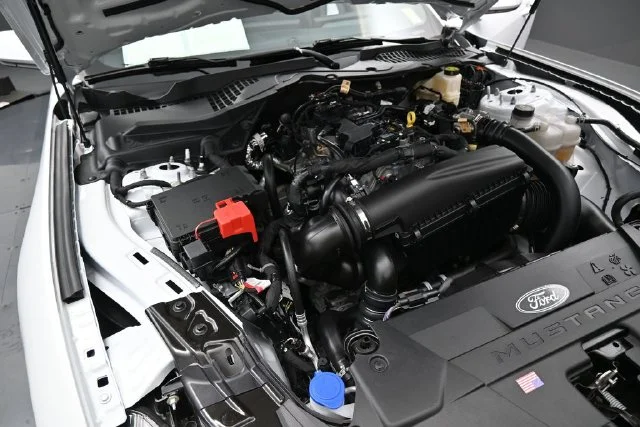 Used 2026 White Ford EcoBoost image 33
