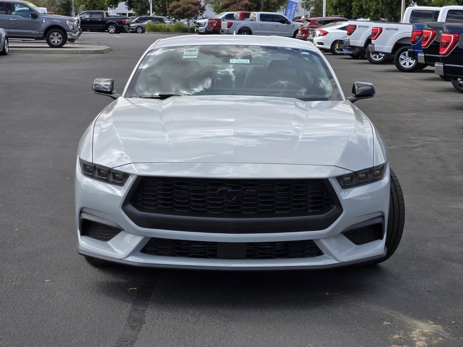 New 2026 Avalanche Gray Ford EcoBoost® Premium Fastback image 2