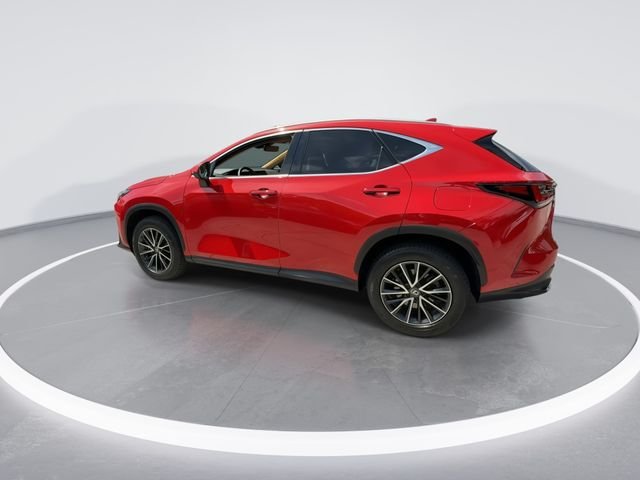 2024 Lexus NX 250 - Photo 5
