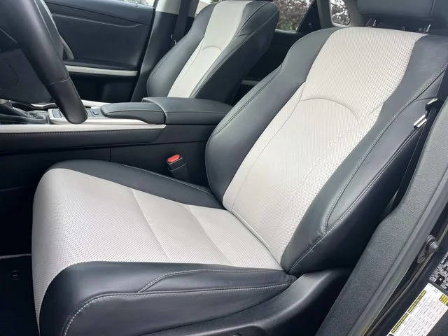 2022 Lexus RX 350 - Photo 31